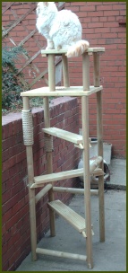 Cat Climbing Towers We Only Products That Think Are Of The Highest Quality And Sure Your Cat Will Love Their Outdoor Toy