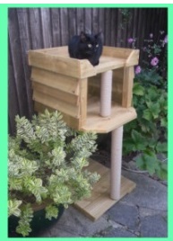 Cat Climbing Towers Com, Outdoor Cat Trees For Large Cats Uk